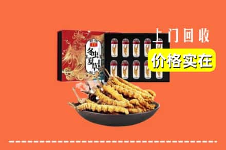 佳木斯东风区回收冬虫夏草