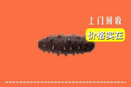 佳木斯东风区回收海参