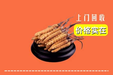 佳木斯东风区回收冬虫夏草